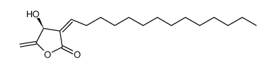 (S)-4,5-Dihydro-4-hydroxy-5-methylene-3-[(Z)-tetradecan-1-ylidene]furan-2(3H)-one结构式
