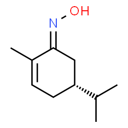 2-Cyclohexen-1-one,2-methyl-5-(1-methylethyl)-,oxime,(1E,5R)-(9CI) picture