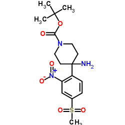 1-Boc-4-[4-(methylsulfonyl)-2-nitrophenyl]piperidin-4-amine structure