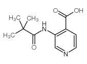 3-(2,2-二甲基丙酰胺)-异烟酸结构式