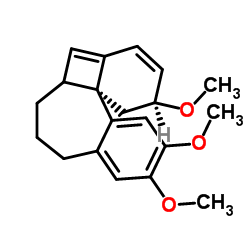 Fortuneine picture