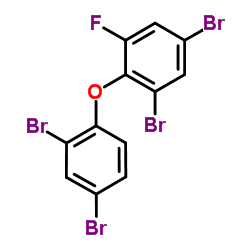 6-FLUORO-2,2',4,4'-TETRABROMODIPHENYL ETHER图片