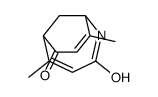 2,7-dimethyl-5-azabicyclo[4.3.1]deca-2,7-diene-4,9-dione Structure