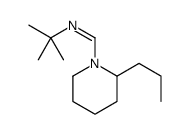 N-tert-butyl-1-(2-propylpiperidin-1-yl)methanimine Structure