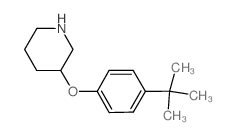 3-(4-tert-butylphenoxy)piperidine结构式