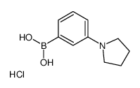 3-(1-PYRROLIDINO)PHENYLBORONIC ACID HCL Structure