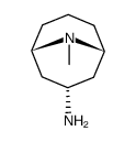 9-AZABICYCLO[3.3.1]NONAN-3-AMINE, 9-METHYL-结构式