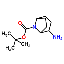 2-氨基-8-氮杂双环[3.2.1]辛烷-8-羧酸叔丁酯图片