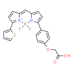 BDP TR carboxylic acid Structure