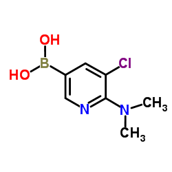 5-chloro-6-(dimethylamino)pyridin-3-ylboronic acid结构式