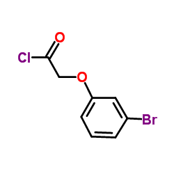 (3-Bromophenoxy)acetyl chloride图片