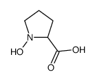 4-hydroxyproline structure