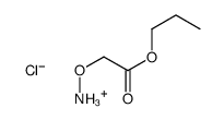 (2-oxo-2-propoxyethoxy)azanium,chloride结构式