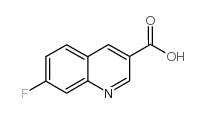 7-氟喹啉-3-羧酸图片