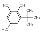 1,2-Benzenediol,3-(1,1-dimethylethyl)-5-methyl- structure