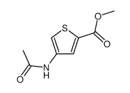 4-acetylamino-thiophene-2-carboxylic acid methyl ester结构式