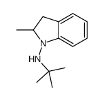 N-tert-butyl-2-methyl-2,3-dihydroindol-1-amine结构式