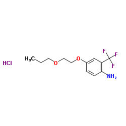 4-(2-Propoxyethoxy)-2-(trifluoromethyl)aniline hydrochloride (1:1) Structure