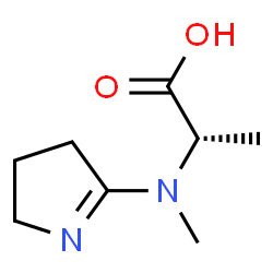 L-Alanine, N-(3,4-dihydro-2H-pyrrol-5-yl)-N-methyl- (9CI) structure