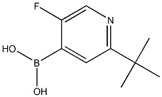 5-Fluoro-2-(tert-butyl)pyridine-4-boronic acid结构式