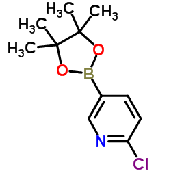 2-Chloropyridine-5-boronic acid Pinacol ester structure