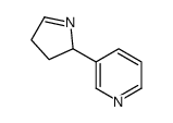 (+/-)-Isomyosmine结构式