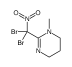 2-[dibromo(nitro)methyl]-1-methyl-5,6-dihydro-4H-pyrimidine Structure