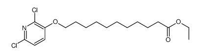 ethyl 11-(2,6-dichloropyridin-3-yl)oxyundecanoate结构式