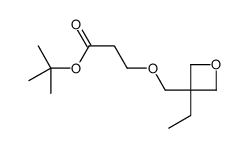 tert-butyl 3-[(3-ethyloxetan-3-yl)methoxy]propanoate结构式