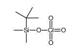 [tert-butyl(dimethyl)silyl] perchlorate Structure
