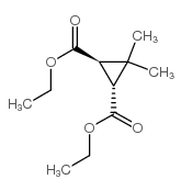 TRANS-DIETHYL CARONATE picture