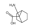 Bicyclo[2.2.1]heptane-7-carboxylic acid, 7-amino- (9CI) Structure