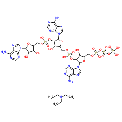 Ammonum salt, PPP (2'-5') A-A-A Triethyl结构式