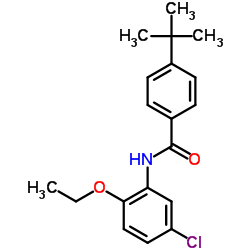 N-(5-Chloro-2-ethoxyphenyl)-4-(2-methyl-2-propanyl)benzamide结构式