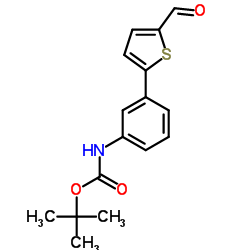 [3-(5-FORMYL-THIOPHEN-2-YL)-PHENYL]-CARBAMIC ACID TERT-BUTYL ESTER picture