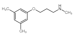 3-(3,5-dimethylphenoxy)-N-methylpropan-1-amine picture