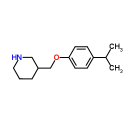 3-[(4-Isopropylphenoxy)methyl]piperidine Structure