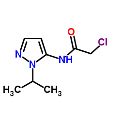 2-Chloro-N-(1-isopropyl-1H-pyrazol-5-yl)acetamide Structure