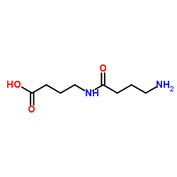 4-[(4-Aminobutanoyl)amino]butanoic acid Structure