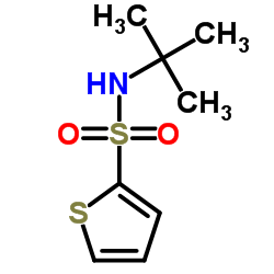 N-tert-Butyl-2-thiophenesulfonamide picture