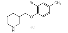 3-[(2-Bromo-4-methylphenoxy)methyl]piperidine hydrochloride Structure