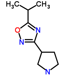 5-Isopropyl-3-(3-pyrrolidinyl)-1,2,4-oxadiazole结构式