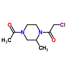 1-(4-Acetyl-2-methyl-1-piperazinyl)-2-chloroethanone Structure