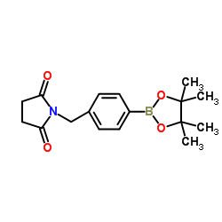 1-[4-(4,4,5,5-Tetramethyl-[1,3,2]dioxaborolan-2-yl)-benzyl]-pyrrolidine-2,5-dione结构式