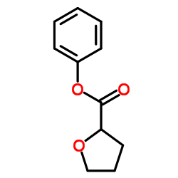 phenyl tetrahydrofuran-2-carboxylate结构式