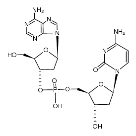 5'-dApdC-3'结构式