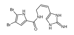 N-[(E)-3-(2-amino-1H-imidazol-5-yl)prop-2-enyl]-4,5-dibromo-1H-pyrrole-2-carboxamide结构式