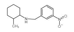 2-methyl-N-[(3-nitrophenyl)methyl]cyclohexan-1-amine结构式