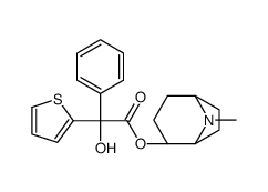 [(1S,4S,5R)-8-methyl-8-azabicyclo[3.2.1]octan-4-yl] (2S)-2-hydroxy-2-phenyl-2-thiophen-2-ylacetate结构式