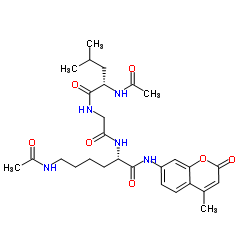 HDAC inhibitor Structure